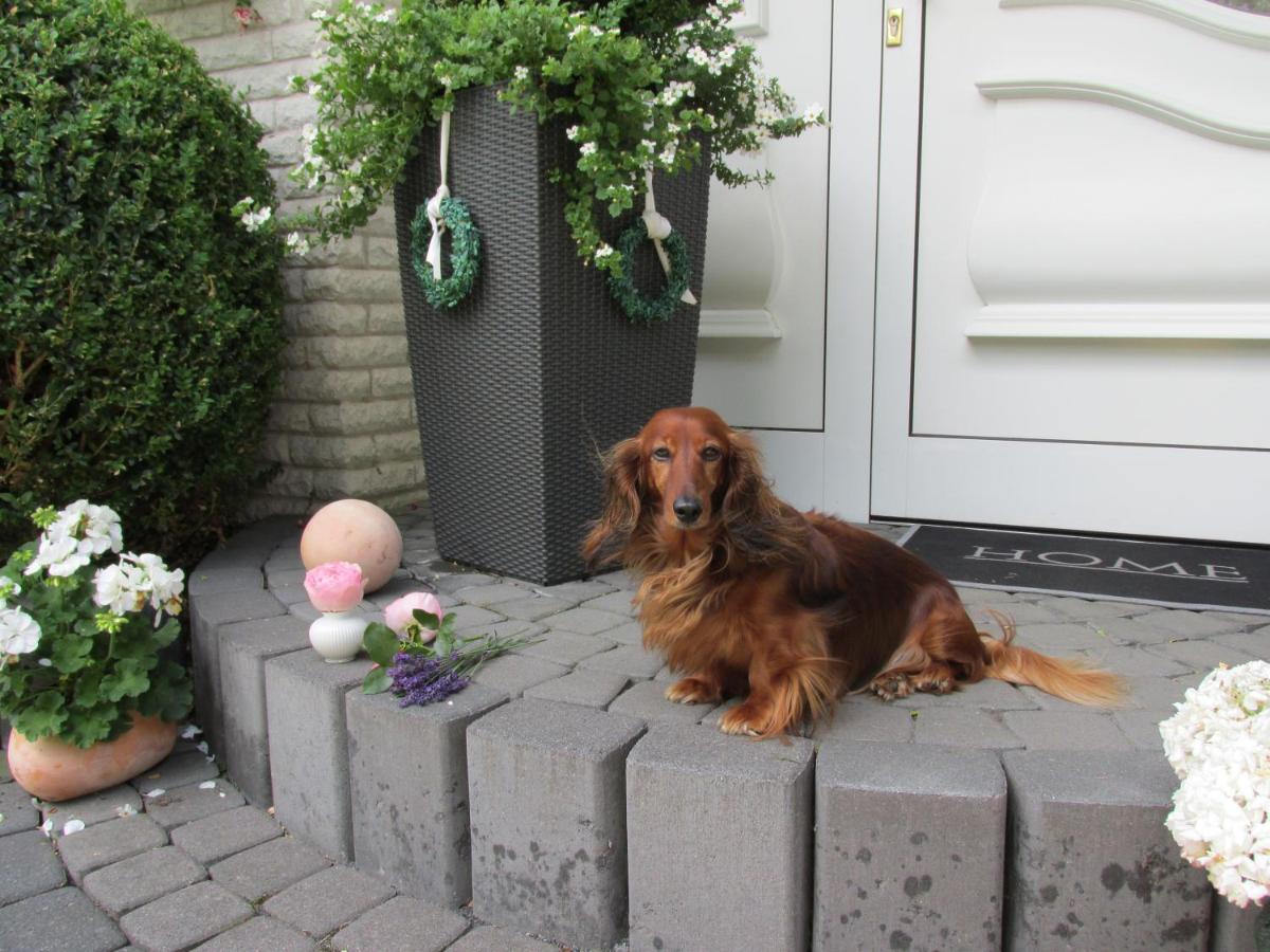 Pension Roseneck Wolfshagen  Buitenkant foto